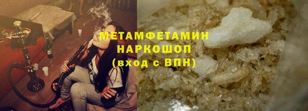 прущие грибы Горнозаводск