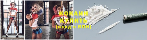 прущие грибы Горнозаводск