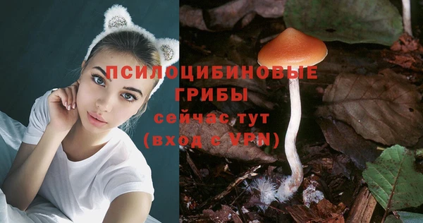 прущие крисы Усолье-Сибирское