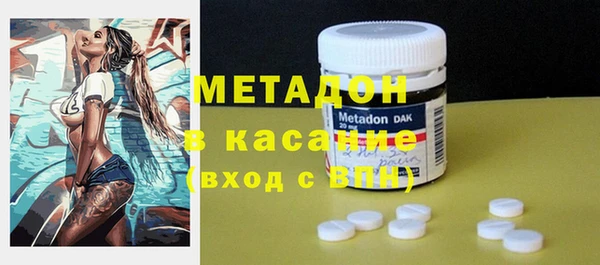 прущие грибы Горнозаводск