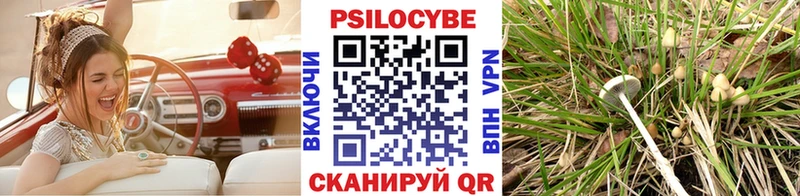Псилоцибиновые грибы мицелий  Тамбов 