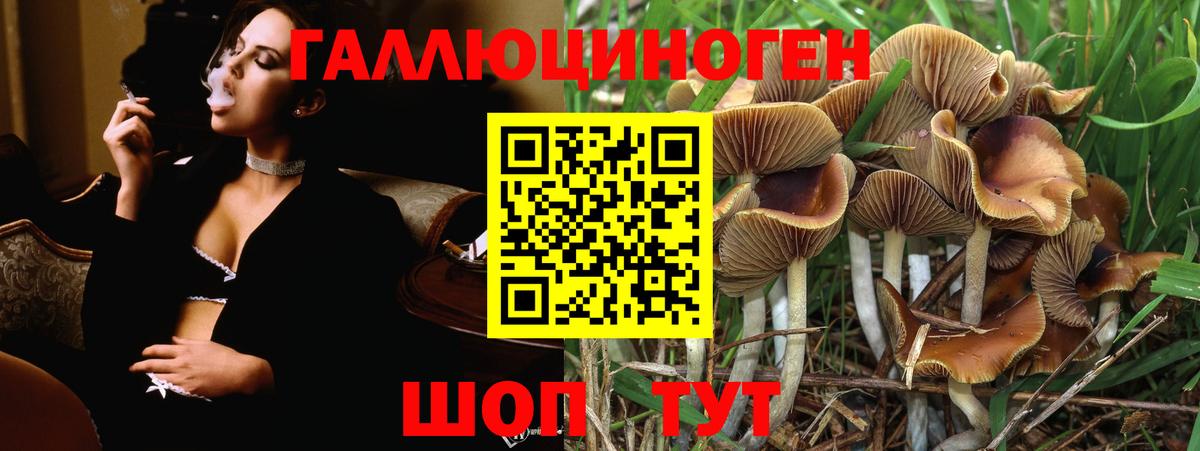 Тамбов  Псилоцибиновые грибы мицелий  Псилоцибиновые грибы Magic Shrooms  Вход с VPN 