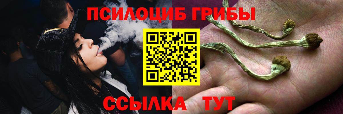 Псилоцибиновые грибы GOLDEN TEACHER Тамбов